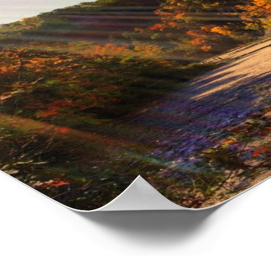 Taughannock Herfst Poster (Hoek)