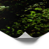 TAUGHANNOCK HERFST poster (Hoek)