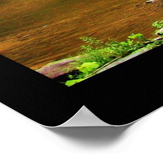 TAUGHANNOCK-HERFSTEN afdrukken Poster (Hoek)