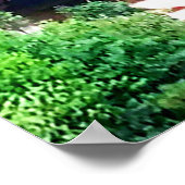 TAUGHANNOCK HERFSTEN ITHACA POSTER (Hoek)