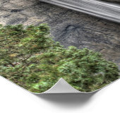 Taughannock Herfsten, New York Poster (Hoek)