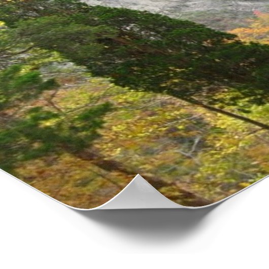 Taughannock Herfsten Poster (Hoek)