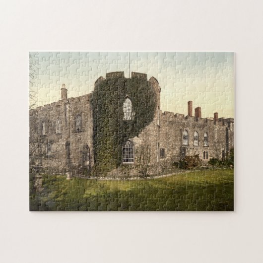 Taunton Castle, Somerset, Engeland Legpuzzel (Horizontaal)