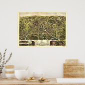 Taunton Massachusetts 1875 Antiek Panorama Poster (Keuken)