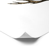 Taupe Zee Coral no.2 Beach Wall Art Poster (Hoek)