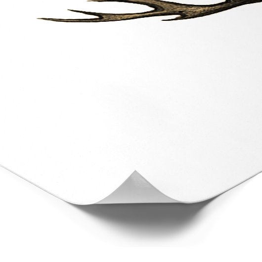 Taupe Zee Coral no.2 Beach Wall Art Poster (Hoek)