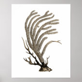 Taupe Zee Coral no.2 Beach Wall Art Poster (Voorkant)