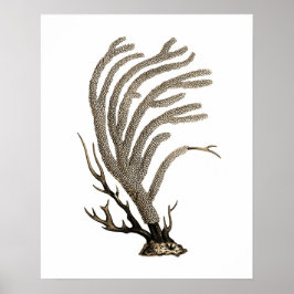 Taupe Zee Coral no.2 Beach Wall Art Poster