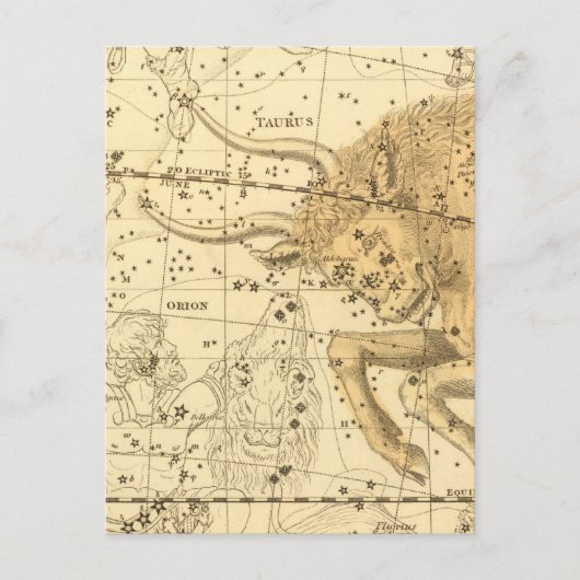 Taurus Briefkaart (Voorkant)