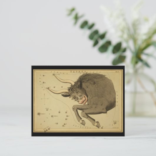 Taurus Briefkaart (Staand voorkant)