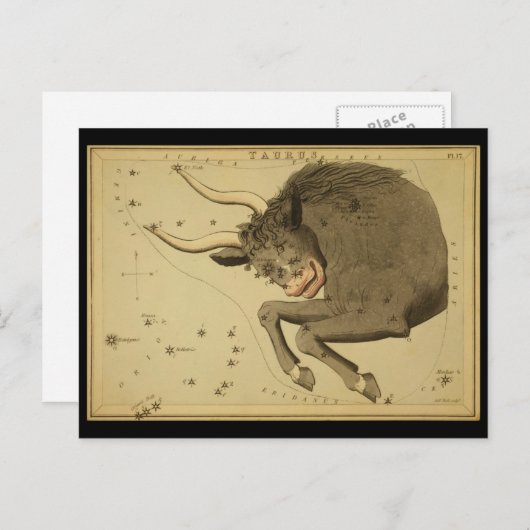 Taurus Briefkaart (Voorkant / Achterkant)