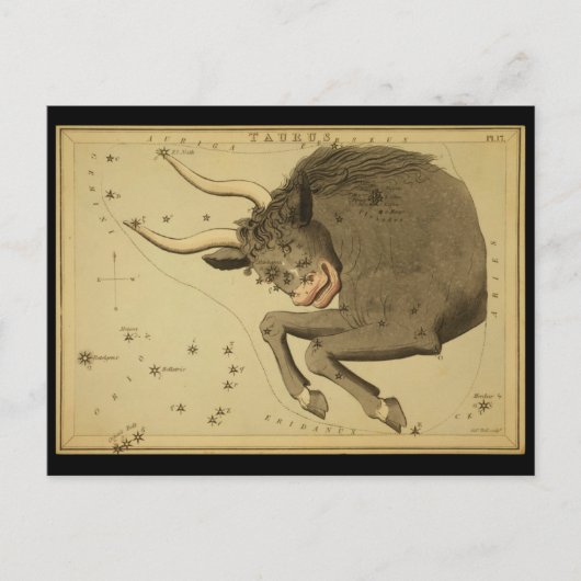 Taurus Briefkaart (Voorkant)