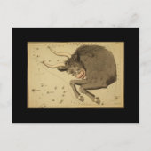 Taurus Briefkaart (Voorkant)