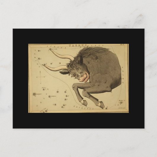 Taurus Briefkaart (Voorkant)