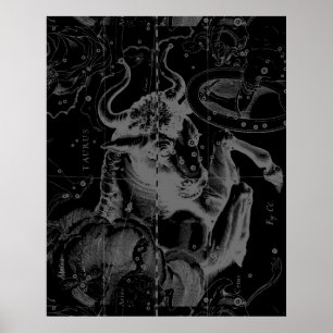 Taurus Constellation Hevelius 1690 Decor Poster