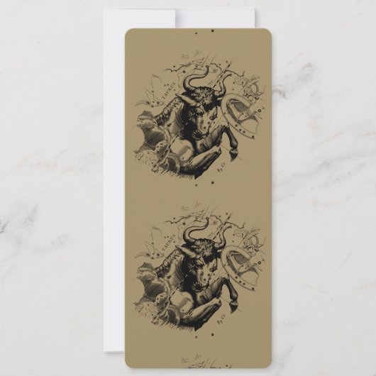 Taurus Constellation Hevelius 1690 Engraving (Voorkant)