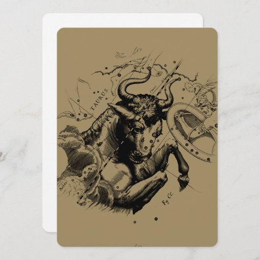 Taurus Constellation Hevelius 1690 Engraving (Voorkant / Achterkant)