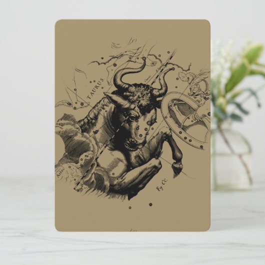 Taurus Constellation Hevelius 1690 Engraving (Staand voorkant)