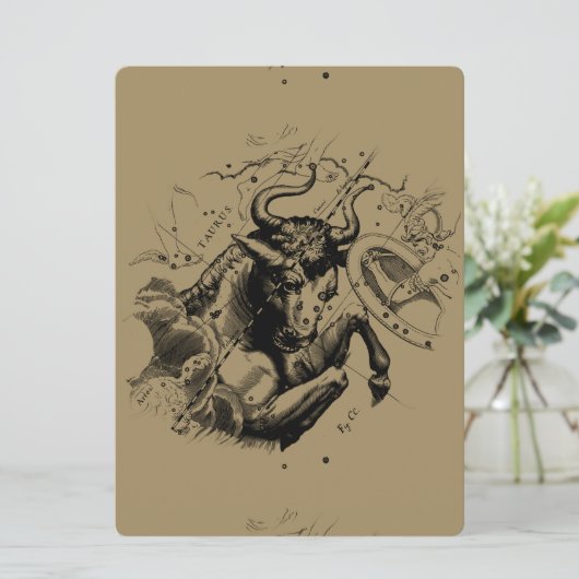 Taurus Constellation Hevelius 1690 Engraving (Staand voorkant)