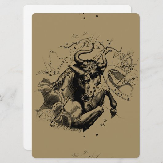 Taurus Constellation Hevelius 1690 Engraving (Voorkant / Achterkant)