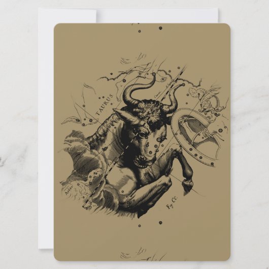 Taurus Constellation Hevelius 1690 Engraving (Voorkant)