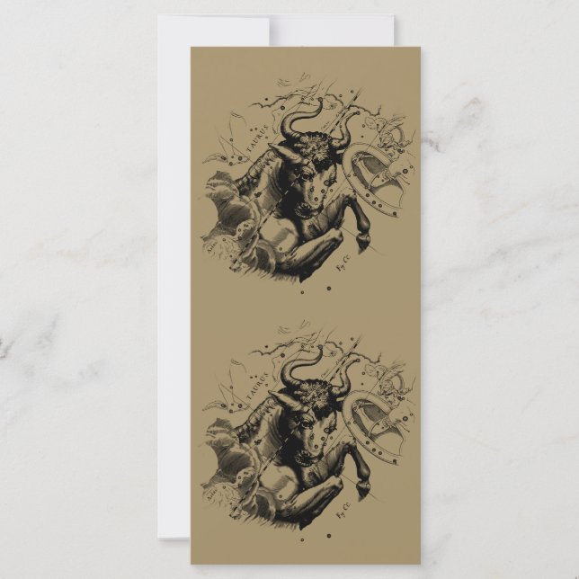 Taurus Constellation Hevelius 1690 Engraving (Voorkant)