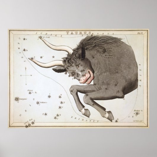 Taurus Constellation Map (1825) Poster (Voorkant)
