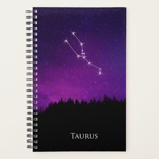 Taurus Constellation Night Sky Astrology Symbol Planner (Voorkant)