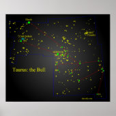 Taurus de Bull-constellatie Poster (Voorkant)