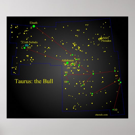 Taurus de Bull-constellatie Poster (Voorkant)