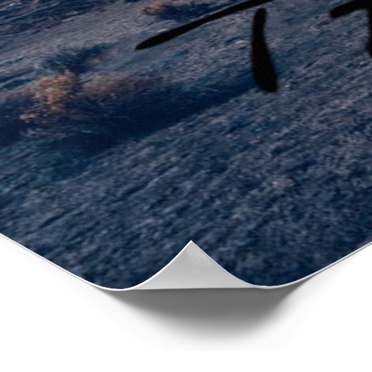 TAURUS DE BULL POSTER (Hoek)