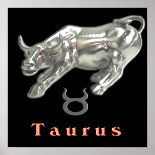 Taurus de stier poster (Voorkant)