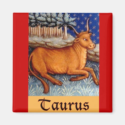 Taurus Magneet (Voorkant)