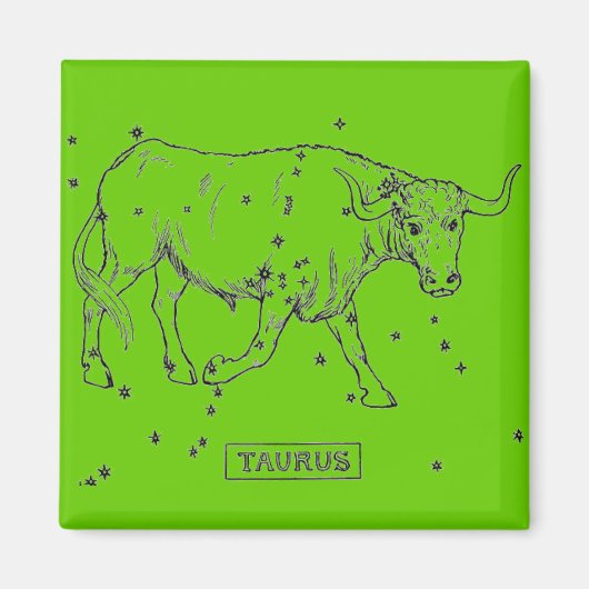 Taurus Magnet (Voorkant)