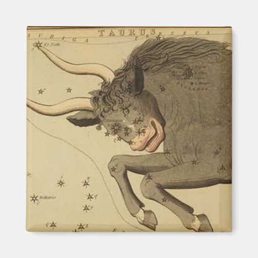 Taurus Magnet (Voorkant)