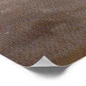 Taurus Poster (Hoek)