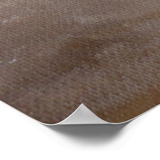 Taurus Poster (Hoek)