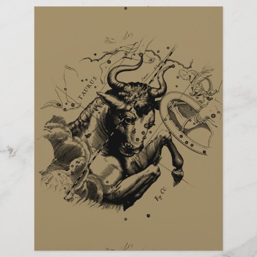 Taurus Sign Constellation Hevelius circa 1690 (Voorkant)