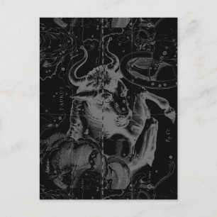Taurus Sign Constellation Hevelius circa 1690 Briefkaart