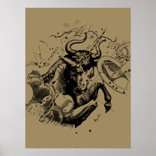 Taurus Sign Constellation Hevelius circa 1690 Poster (Voorkant)