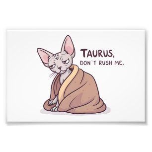 Taurus Sphynx Kat Kalm Zodiac Attitude Kunst Foto Afdruk