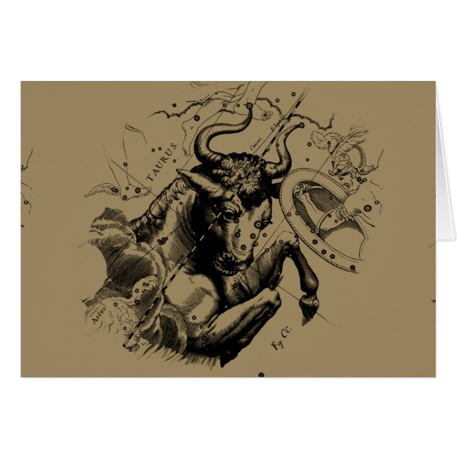 Taurus sterrenbeeld constellatie Hevelius circa 16 (Voorkant Horizontaal)