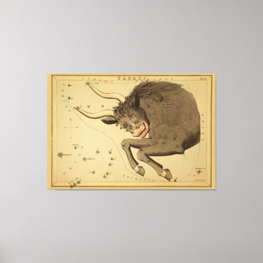 Taurus -  teken van het Afbeelding van de diersoor Canvas Afdruk (Voorkant)