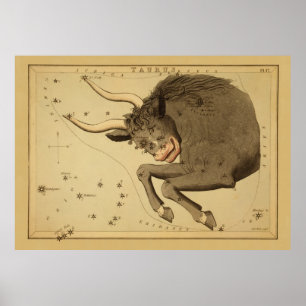 Taurus - teken van het Afbeelding van de diersoor Poster