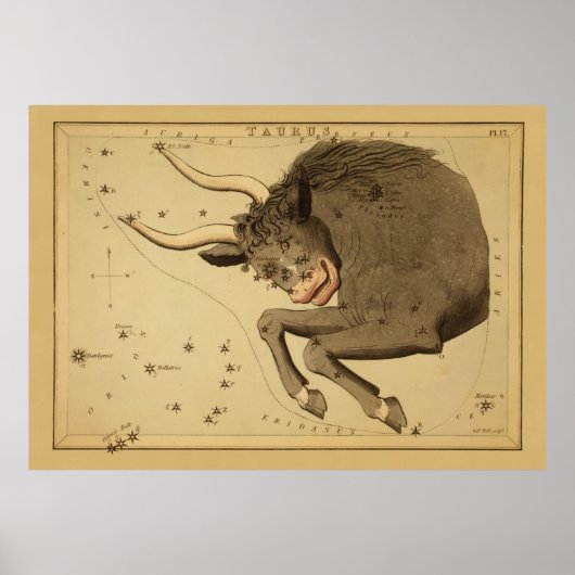 Taurus - teken van het Afbeelding van de diersoor Poster (Voorkant)