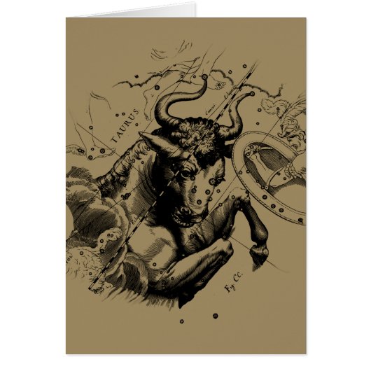 Taurus Zodiac Constellation Map Hevelius 1690 (Voorkant)