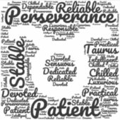 Taurus Zodiac Sign Black Sticker (Voorkant)