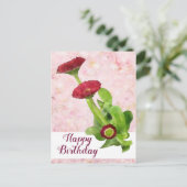 Tausendschön Briefkaart (Staand voorkant)