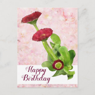 Tausendschön Briefkaart