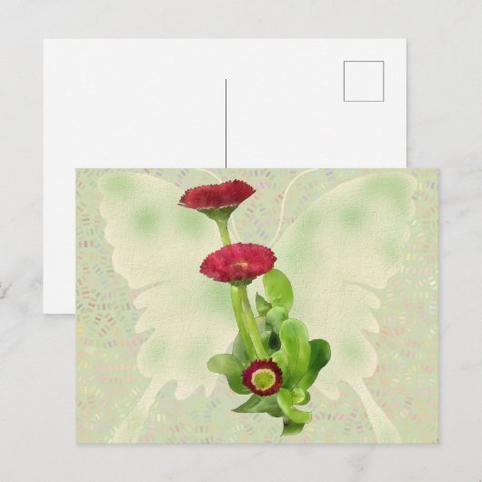 Tausendschön Briefkaart (Voorkant / Achterkant)